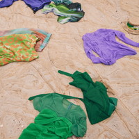 緑黄色社会 サマータイムシンデレラの画像